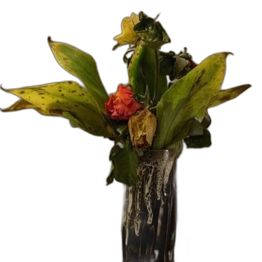 crown, staff, flower, food transparent PNG cut-out