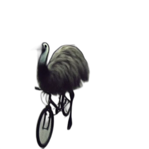 animal, creature, hair, photorealistic transparent PNG cut-out