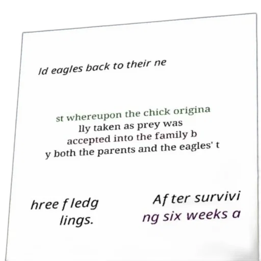 fire, underwater, text-based, image transparent PNG cut-out
