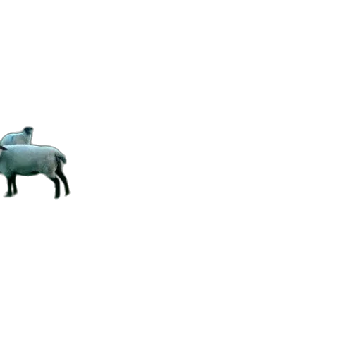 animal, car, creature, robot transparent PNG cut-out