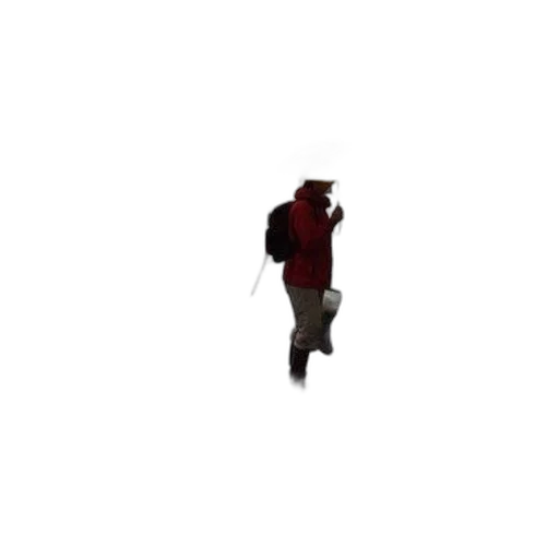 jacket, creature, staff, robot transparent PNG cut-out