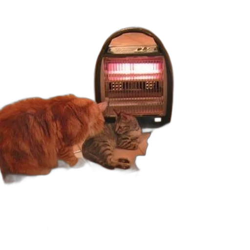 furniture, animal, fire, two transparent PNG cut-out