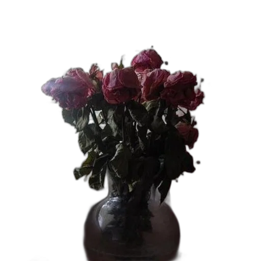 flower, crown, bottle, jewelry transparent PNG cut-out