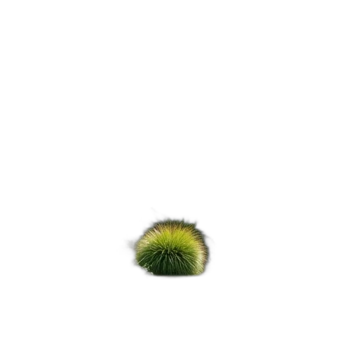 hair, creature, tree, hat transparent PNG cut-out