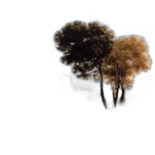 tree, hair, crown, animal transparent PNG cut-out