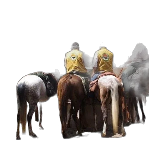 animal, mask, staff, concept art transparent PNG cut-out