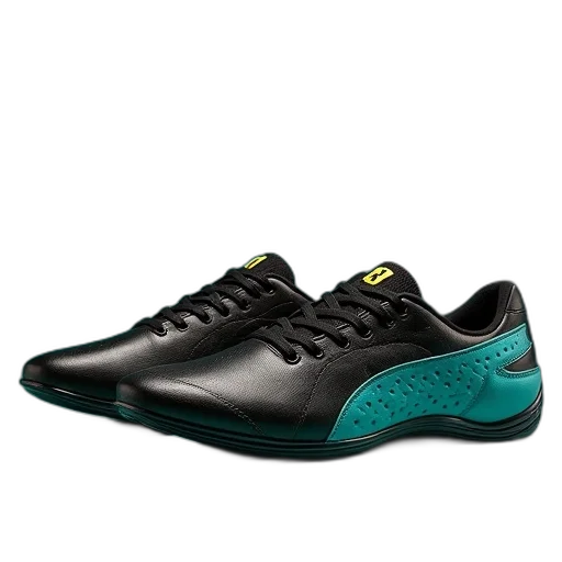 shoes, ferrari, future, cat transparent PNG cut-out