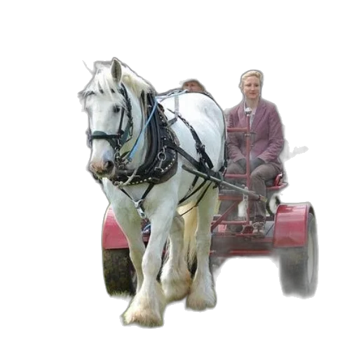 car, animal, robot, staff transparent PNG cut-out