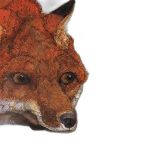 animal, mask, face, hat transparent PNG cut-out