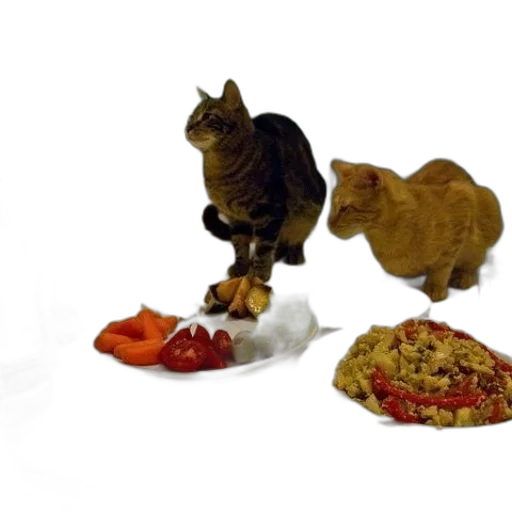 food, animal, creature, 3d render transparent PNG cut-out