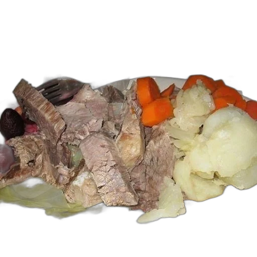 food, animal, hat, creature transparent PNG cut-out