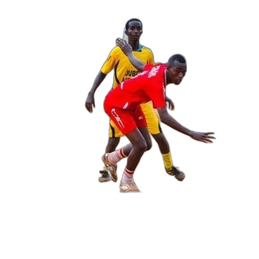 shoes, animal, photorealistic, soccer transparent PNG cut-out