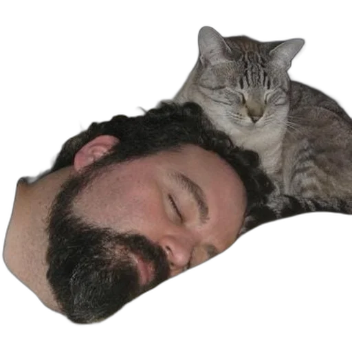 animal, creature, staff, face transparent PNG cut-out