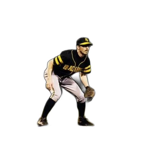 animal, photorealistic, baseball, player transparent PNG cut-out