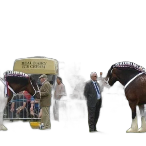 horse, show, spectators, vendor transparent PNG cut-out