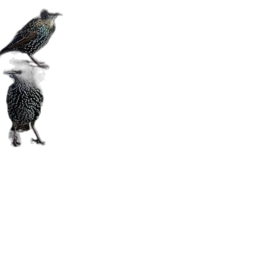 animal, dragon, creature, robot transparent PNG cut-out