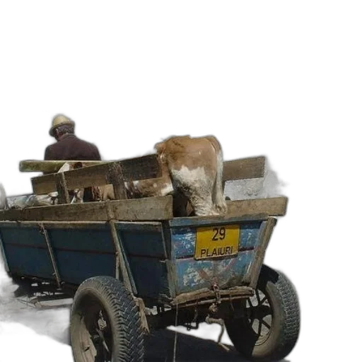 car, animal, furniture, robot transparent PNG cut-out