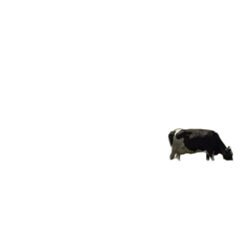 animal, creature, food, car transparent PNG cut-out