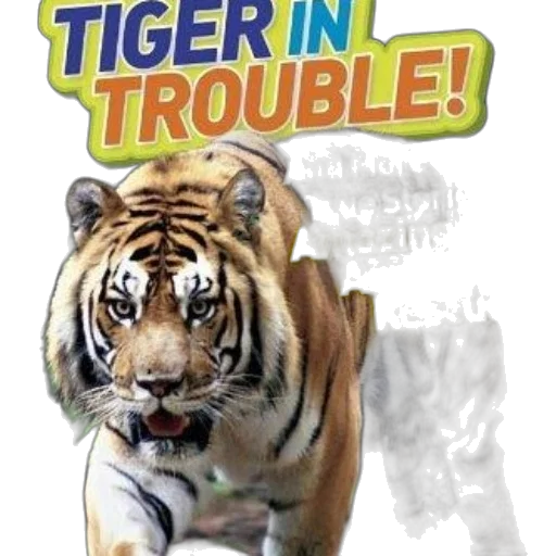 animal, comic book art, photorealistic, concept art transparent PNG cut-out