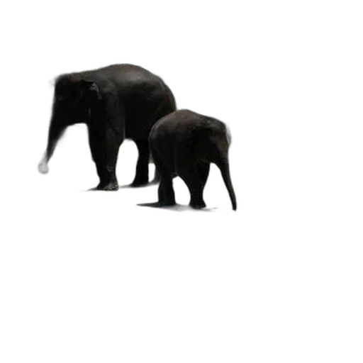 animal, creature, 3d render, concept art transparent PNG cut-out