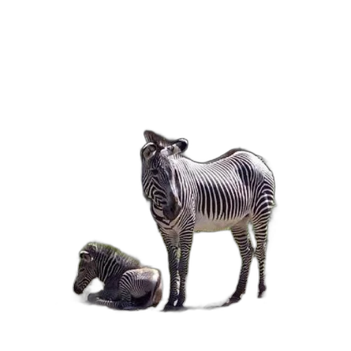 animal, creature, furniture, 3d render transparent PNG cut-out