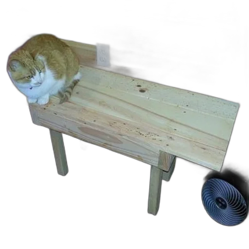 furniture, animal, staff, weapon transparent PNG cut-out