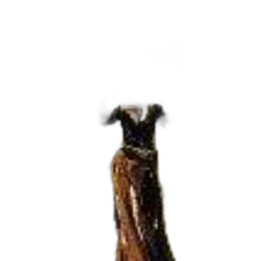 staff, animal, dress, creature transparent PNG cut-out