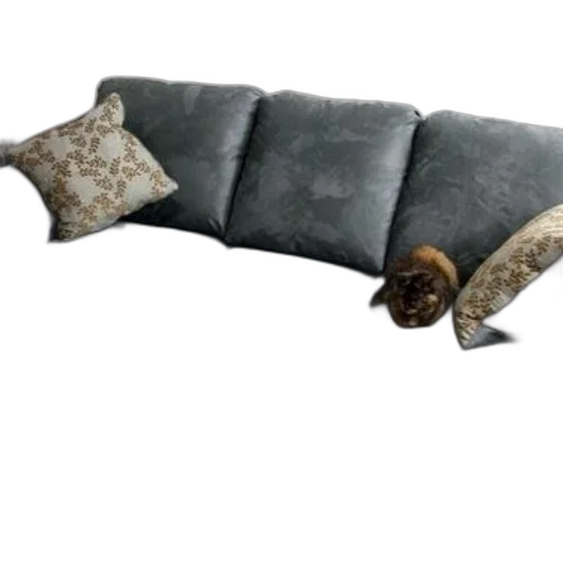 furniture, animal, weapon, shoes transparent PNG cut-out
