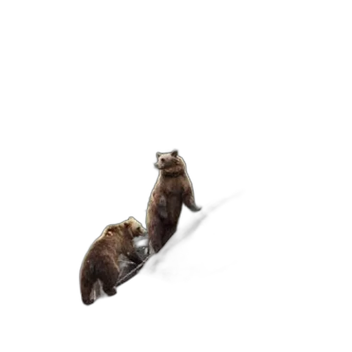 animal, staff, creature, hair transparent PNG cut-out