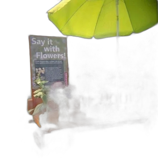 umbrella, staff, dragon, weapon transparent PNG cut-out