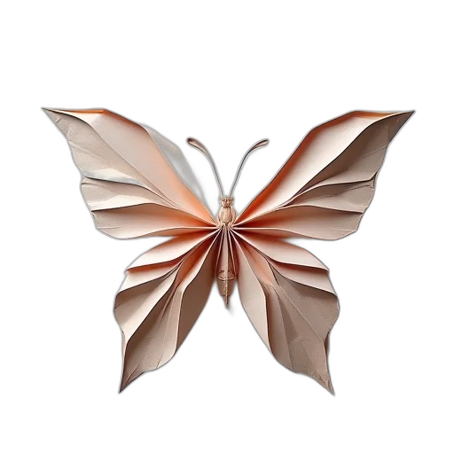 flower, umbrella, jewelry, crown transparent PNG cut-out
