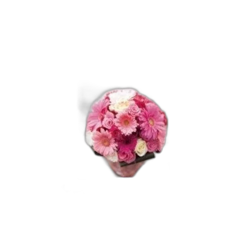 jewelry, flower, crown, hat transparent PNG cut-out