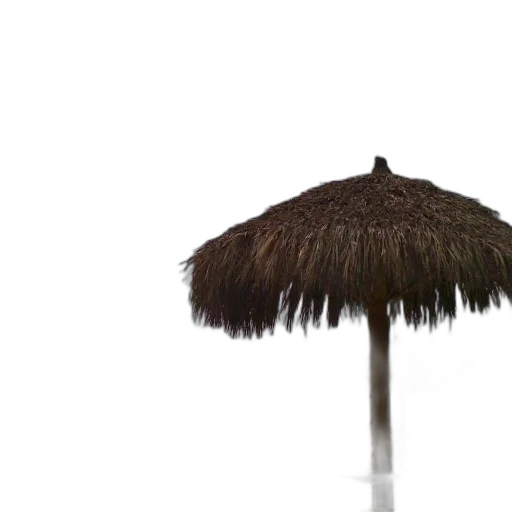 umbrella, hat, hair, staff transparent PNG cut-out