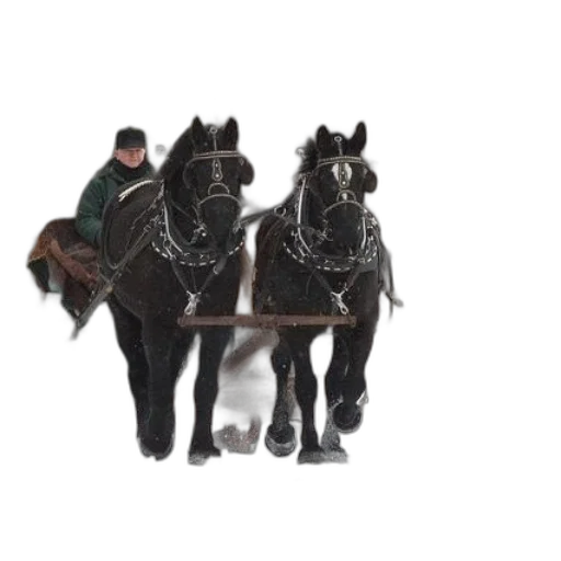 staff, animal, concept art, man transparent PNG cut-out