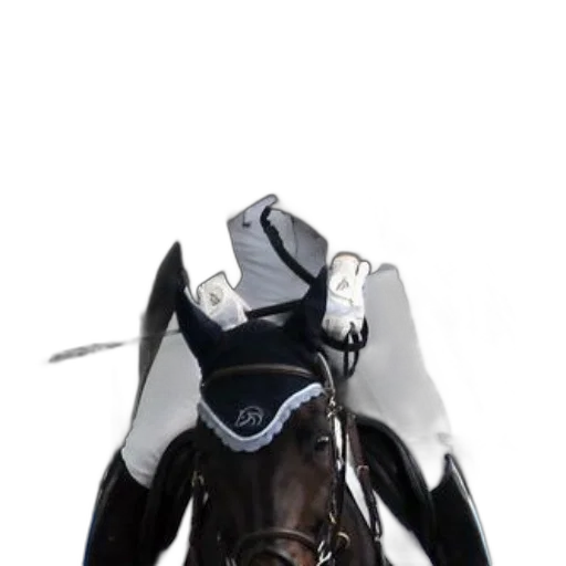 robot, sword, mask, jacket transparent PNG cut-out