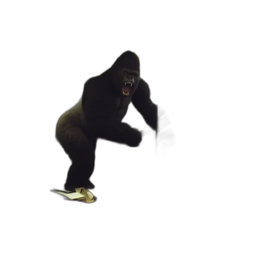 creature, animal, shoes, staff transparent PNG cut-out
