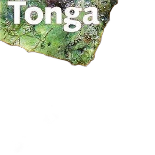 tree, umbrella, food, animal transparent PNG cut-out