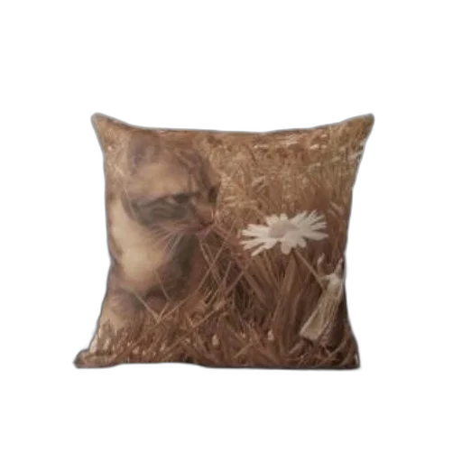 furniture, flower, hair, photorealistic transparent PNG cut-out