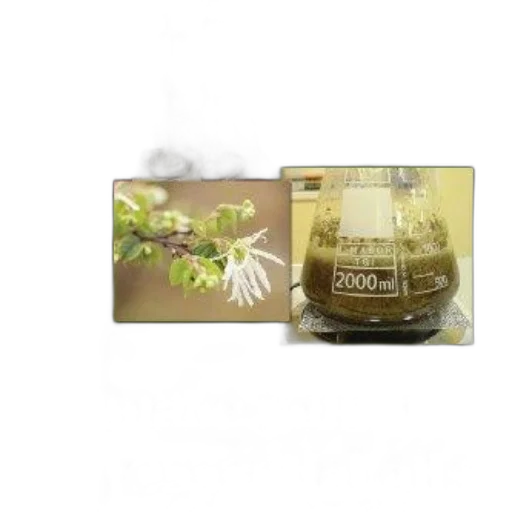 food, earth tones, image, promotional transparent PNG cut-out