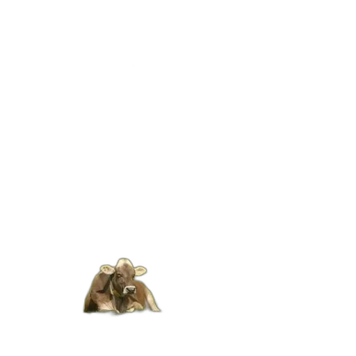 jewelry, animal, crown, hat transparent PNG cut-out