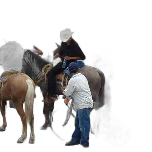 animal, staff, hat, photorealistic transparent PNG cut-out