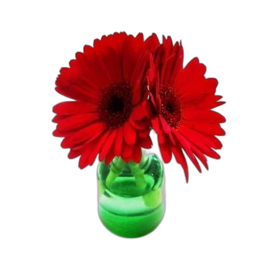 flower, bottle, crown, weapon transparent PNG cut-out
