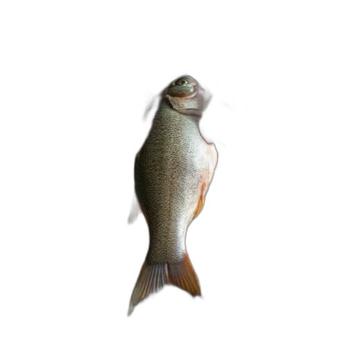 animal, staff, creature, food transparent PNG cut-out