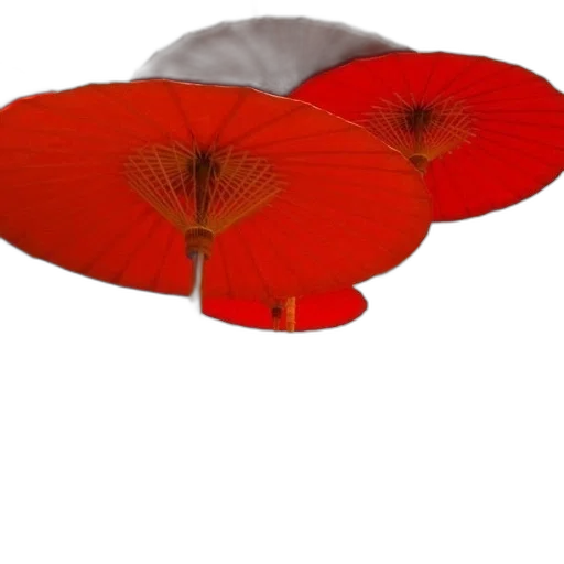 hat, flower, umbrella, crown transparent PNG cut-out