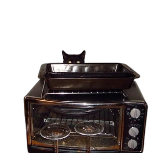furniture, food, robot, animal transparent PNG cut-out