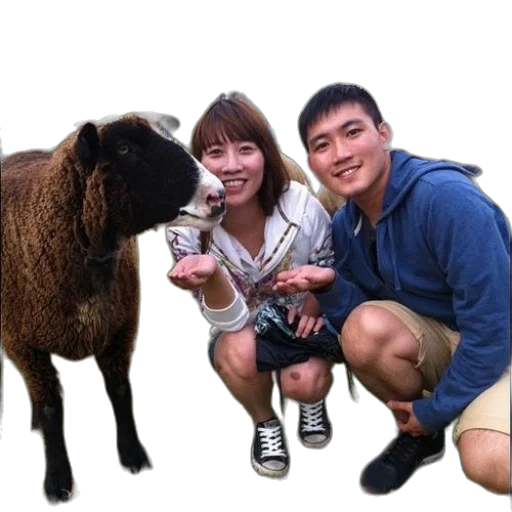 animal, staff, bottle, photorealistic transparent PNG cut-out