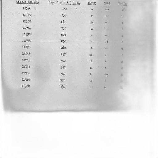 table, columns, labeled, thymus transparent PNG cut-out