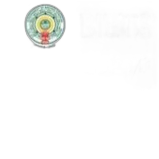 staff, jewelry, weapon, jacket transparent PNG cut-out