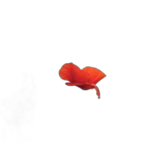 animal, flower, staff, creature transparent PNG cut-out
