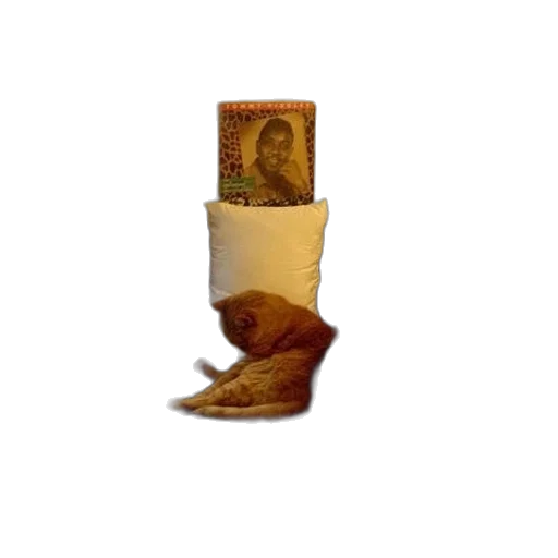 shoes, bottle, animal, hat transparent PNG cut-out